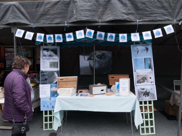 P1020414_redimensionner