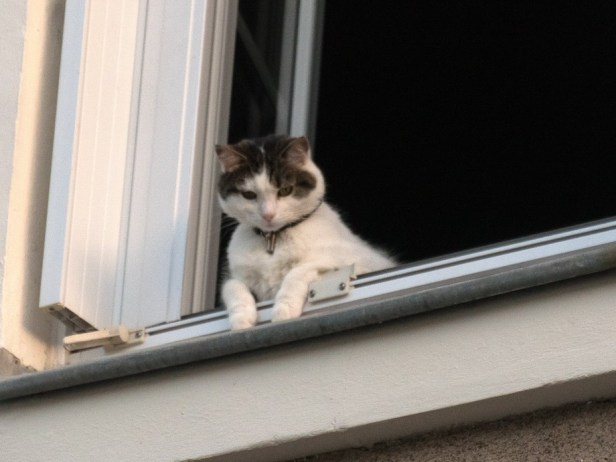 P1100030 copie_redimensionner