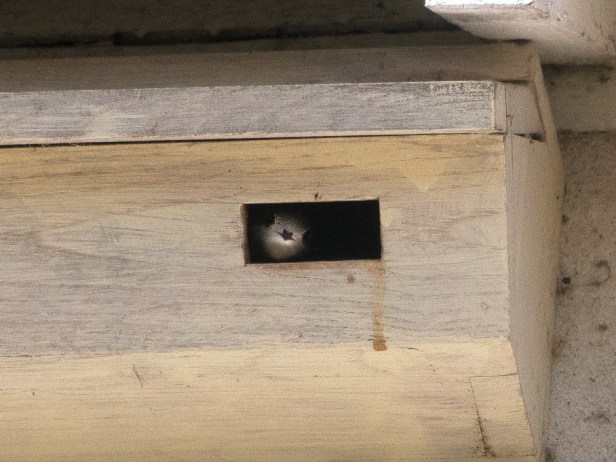 P1100096+_redimensionner