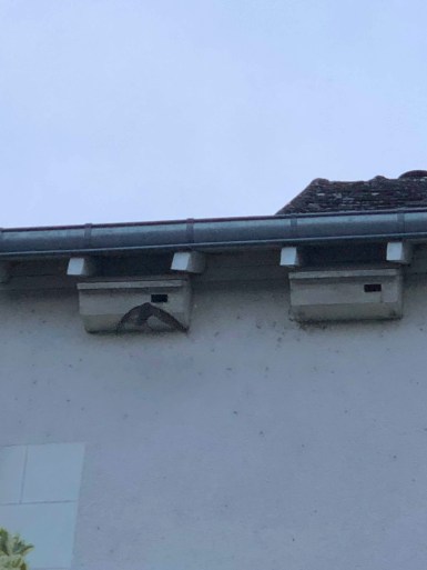 Image 05-06-2018 at 17.52 (1)