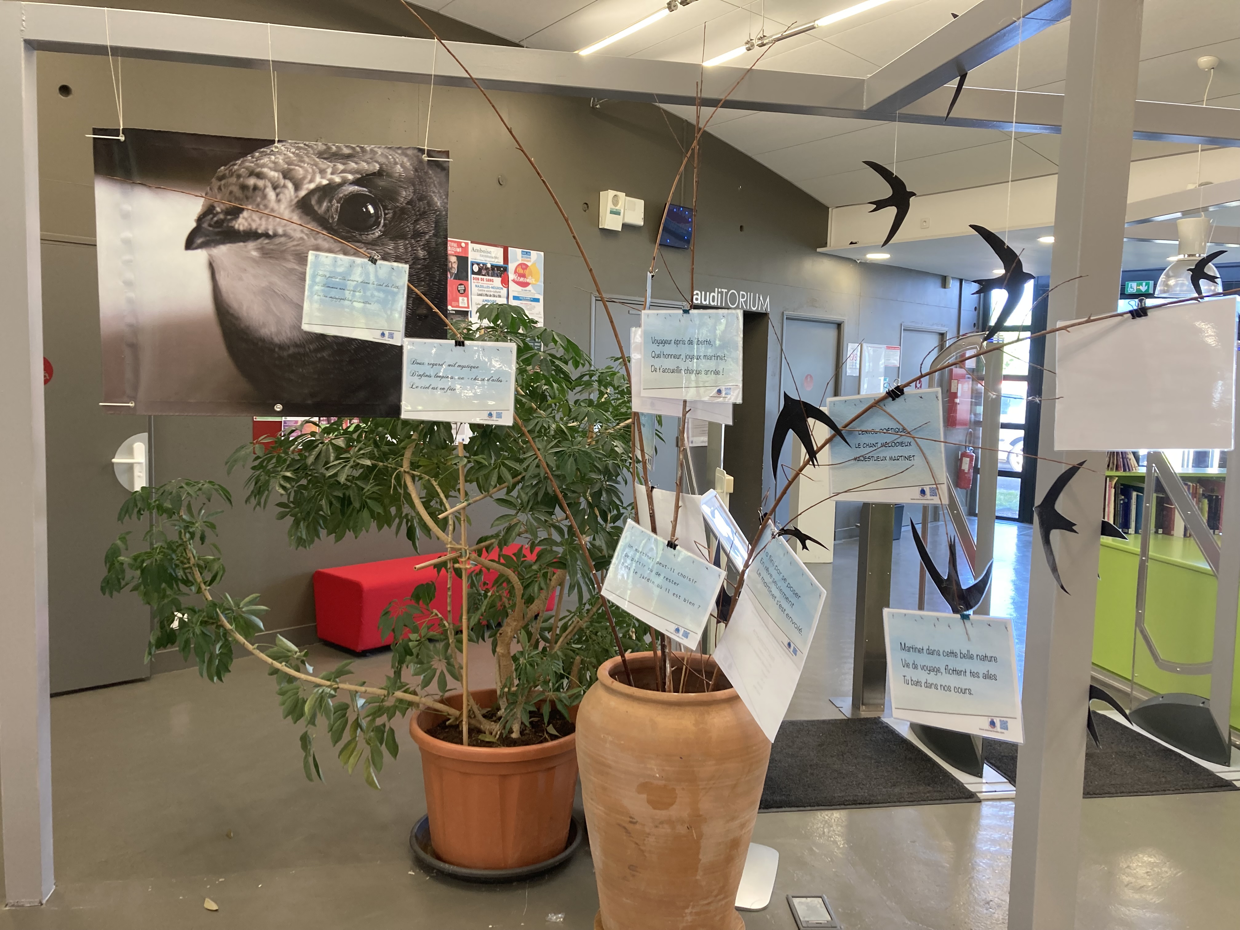 La Saison 2024 Commence